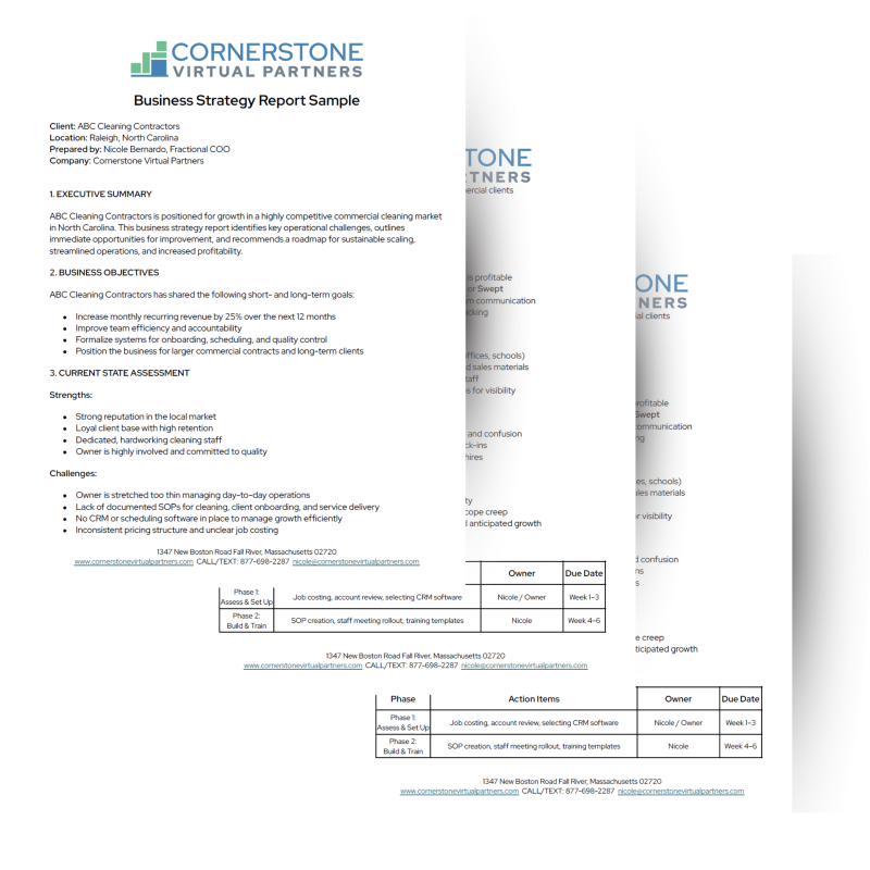 Sample Business Strategy Report Sample Business Strategy Report